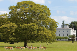 Développement d'un projet éco-touristique autour du patrimoine