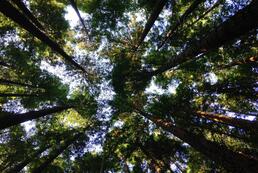 Boulangerie artisanale et Résidence d'artistes