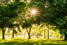 Gîtes et lieu de bien-être.