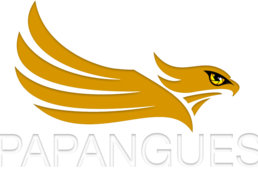 PAPANGUES DRONE
