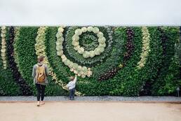 Mange ton mur