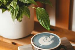 Concept store café / boutique 