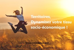 Application mobile de dynamisation socio-économique du territoire