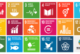 Conseil et commerce dans le domaine du Développement Durable