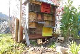 Création d'une cohabitation avec les auxiliaires