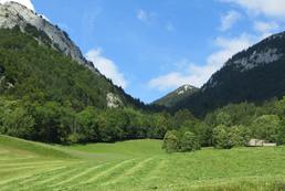 Activités culturelles et artistiques à la ferme